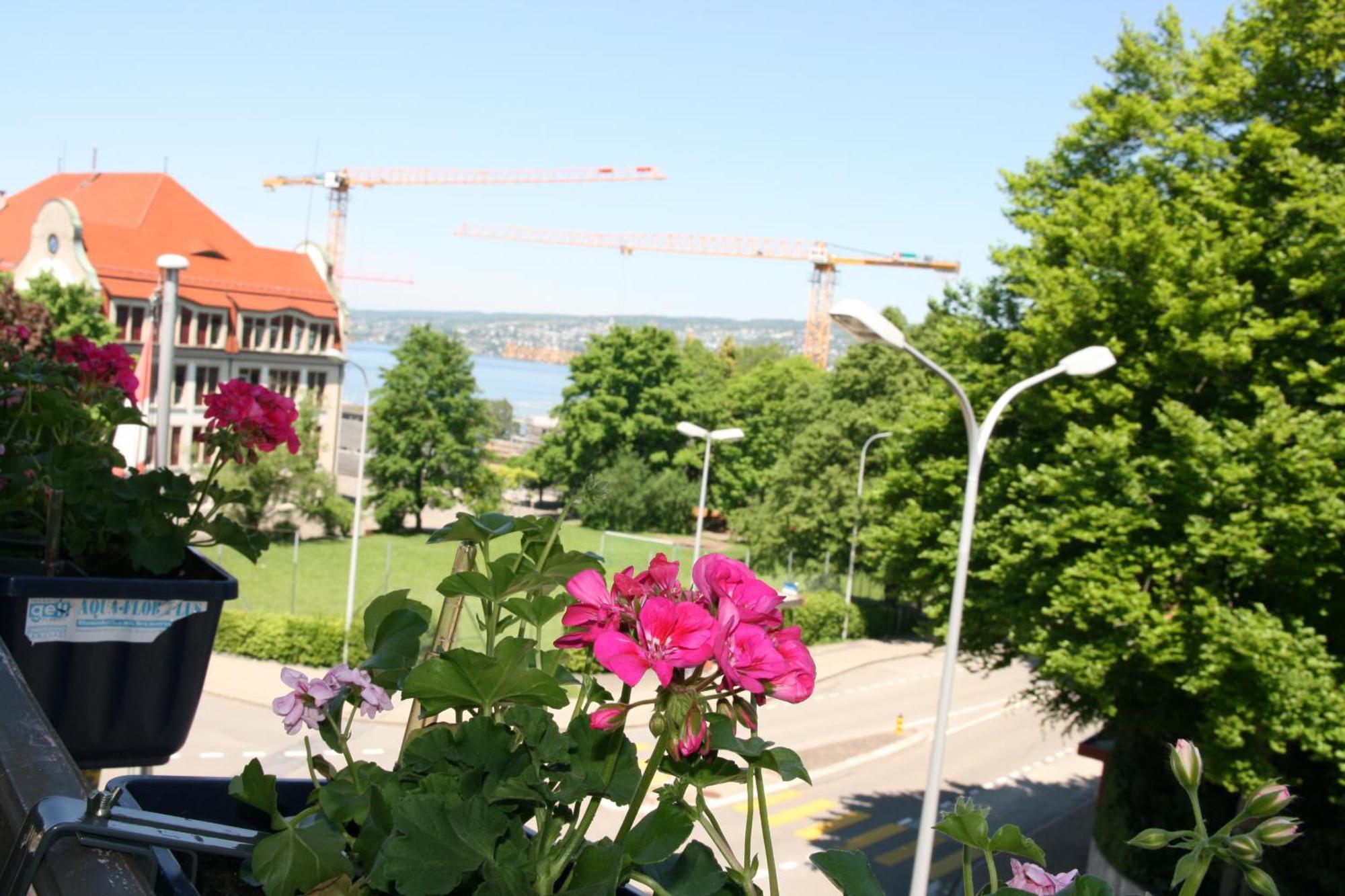 Hotel Glärnisch Hof Horgen Exterior foto